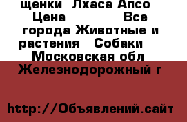 щенки  Лхаса Апсо › Цена ­ 20 000 - Все города Животные и растения » Собаки   . Московская обл.,Железнодорожный г.